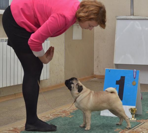 6 месяцев