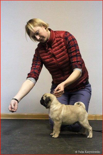 4 месяца