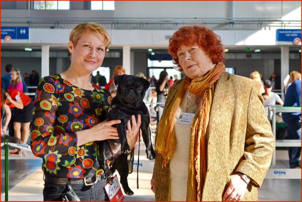 BOB юниоры сука DOMINO EFFECT ZAFIRA CANIS CELEBRI - JCAC