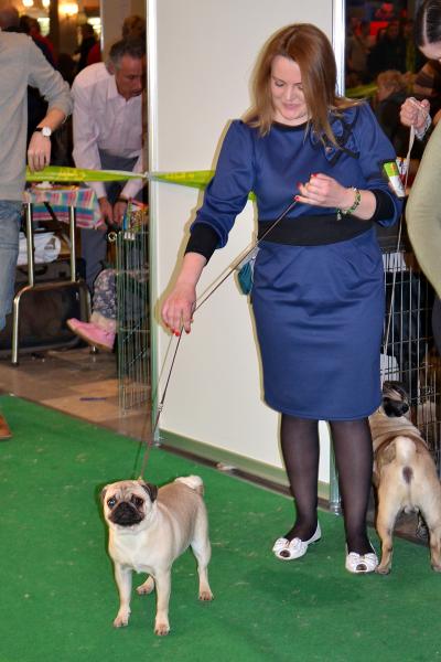 щенок сука FRANCHESCA FLORISSANT