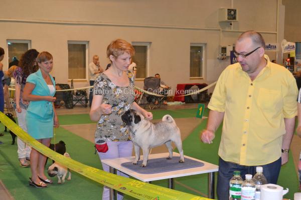юниор сука CANIS CELEBRI MARIA MIRABELA - отлично-4