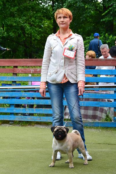 Лучший Юниор Выставки кобель CANIS CELEBRI MUNCHHAUSEN