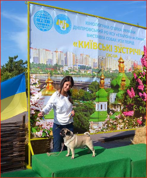 1 год