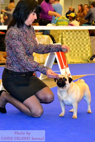 Класс чемпионов сука BEATRICE VENTI VOCANTES