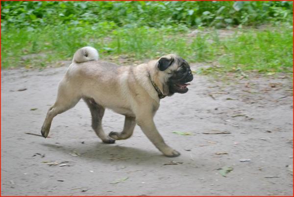 6 месяцев
