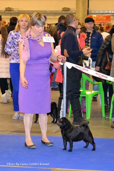 Открытый класс сука HABENERO DE JAVU MISS DELICACY DE MANNERS