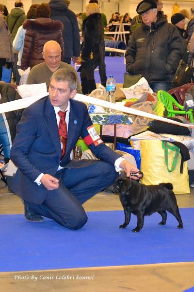 Класс чемпионов сука PAOLA ASTI MONDORO - отлично-3