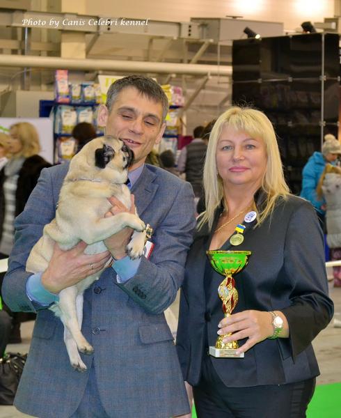 Лучшая Сука Окраса Чемпион Породы AGRIPINA SWEET PUG UA - САС