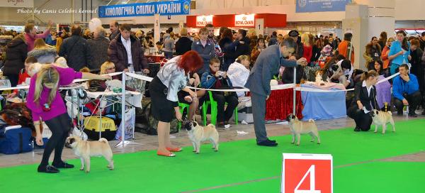 Сравнение на ВОВ окраса