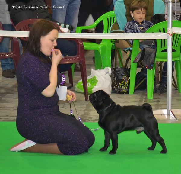 Класс чемпионов CHUDO CHUDNOE ISKUSITEL` - отлично-2