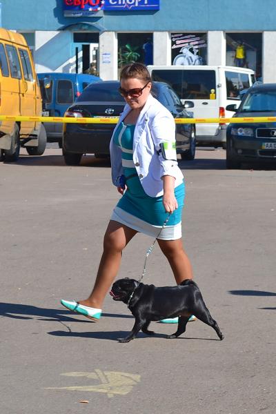 Открытый класс сука FIFI BELLESA PINTAT - RCAC