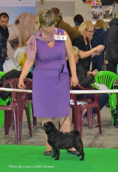 Открытый класс лучшая сука HABENERO DE JAVU MISS DELICACY DE MANNERS - САС