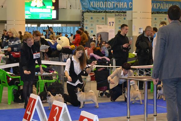 бэби кобели