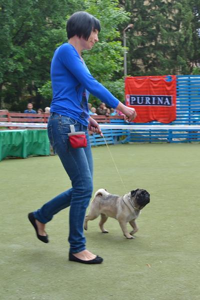 Лучший Юниор Сука CANIS CELEBRI MARIA MIRABELA - JCAC