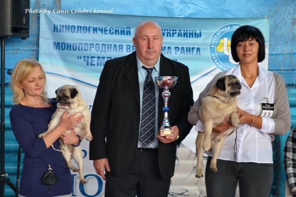 Лучшие Ветераны выставки