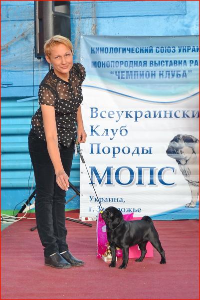 1 год