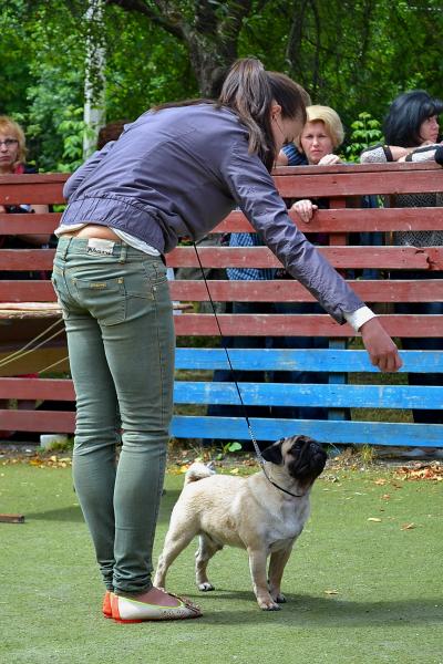 ВОВ юниор кобель CANIS CELEBRI MUNCHHAUSEN