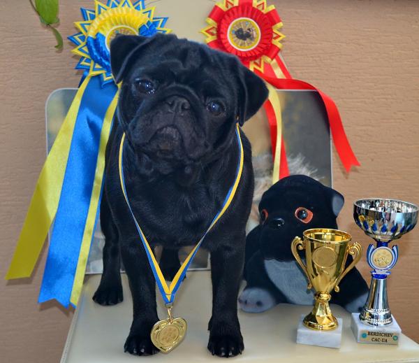 10 месяцев