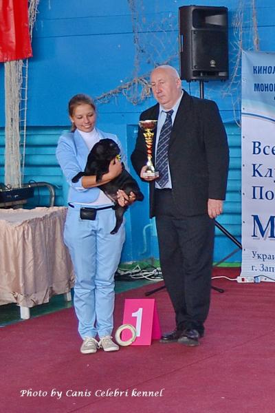 Лучшая Сука Окраса класс победителей ZHASINDA KNYAZHNA RODOM IZ MOPSLANDII - Чемпион Клуба