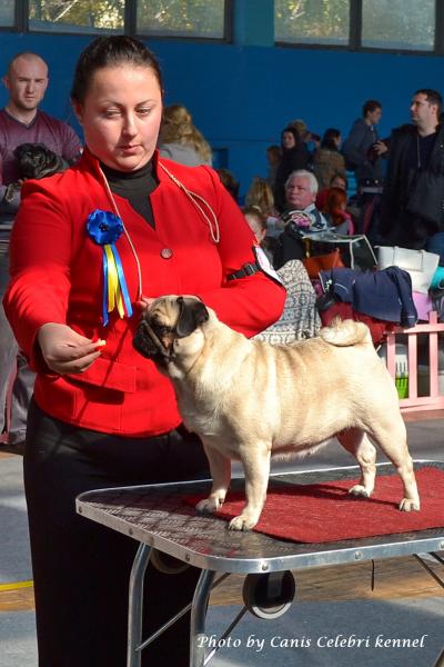 Класс чемпионов сука ZELIA ASTYI MONDORO - 2