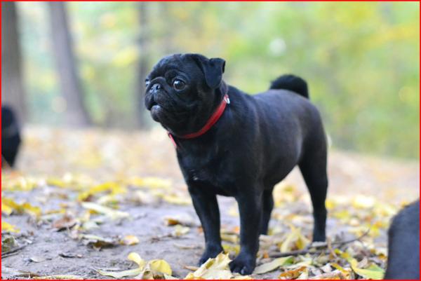 8 месяцев