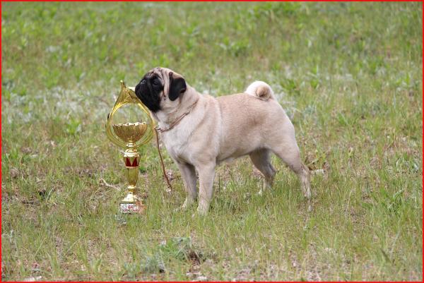 11 месяцев