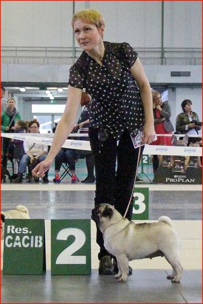Класс чемпионов лучшая сука TAGRITANIA KASSIOPEA SAPFO - CAC, RCACIB