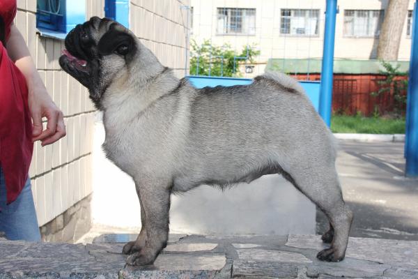 8 месяцев