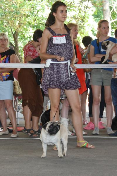 ЛПП, Лучший Юниор, кобель CANIS CELEBRI MUNCHHAUSEN