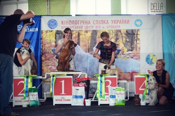 3,5 месяца