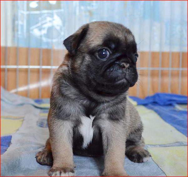 1 месяц