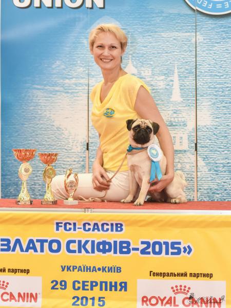 8 месяцев