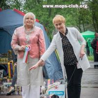 4 месяца