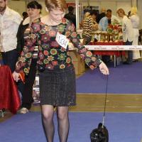 Лучший Щенок DOMINO EFFEST ZAFIRA CANIS CELEBRI