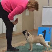 6 месяцев