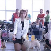 7 меяцев