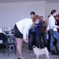 7 меяцев