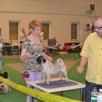 юниор сука CANIS CELEBRI MARIA MIRABELA - отлично-4