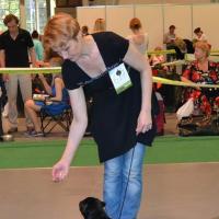 Лучший Щенок DOMINO EFFECT ZAFIRA CANIS CELEBRI