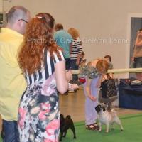 юниор сука CANIS CELEBRI MARIA MIRABELA - отлично-4