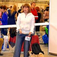 Юниор кобель VEST IGROLEND