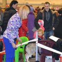 Класс чемпионов сука CAMUSE DE LUXE BIATE - отлично-3