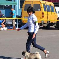 Юниор сука CANIS CELEBRI MARIA MIRABELA - отлично-3