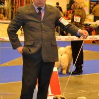 Лучшая сука класс чемпионов MONTES AURI OLIVIA LA VICTORIA - CAC, RCACIB