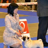 Класс чемпионов сука BEATRICE VENTI VOCANTES