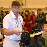 Открытый класс кобель ZHOKER TRIUMF RODOM IZ MOPSLANDII - очень хорошо