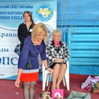 Ветеран кобель VINSENT VALUA FLER - отлично-2