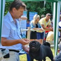 Лучший юниор Zhoker Triumf Rodom Iz Mopslandii - JCAC 