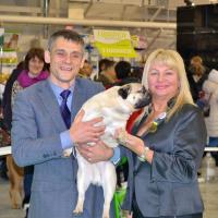Класс чемпионов лучший кобель ARCHIBALD SWEET PUG UA - САС