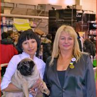 Интермедия лучшая сука CANIS CELEBRI MARIA MIRABELA - САС